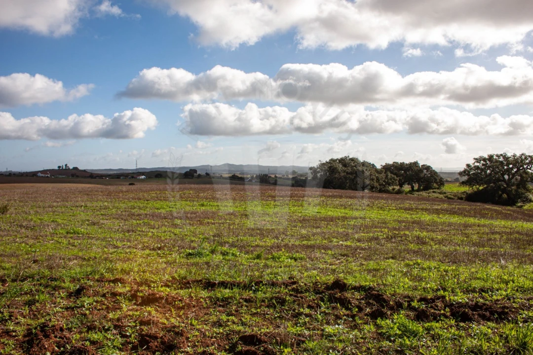 Terreno Agricola ou Rústico para Venda em Cercal Foto 7