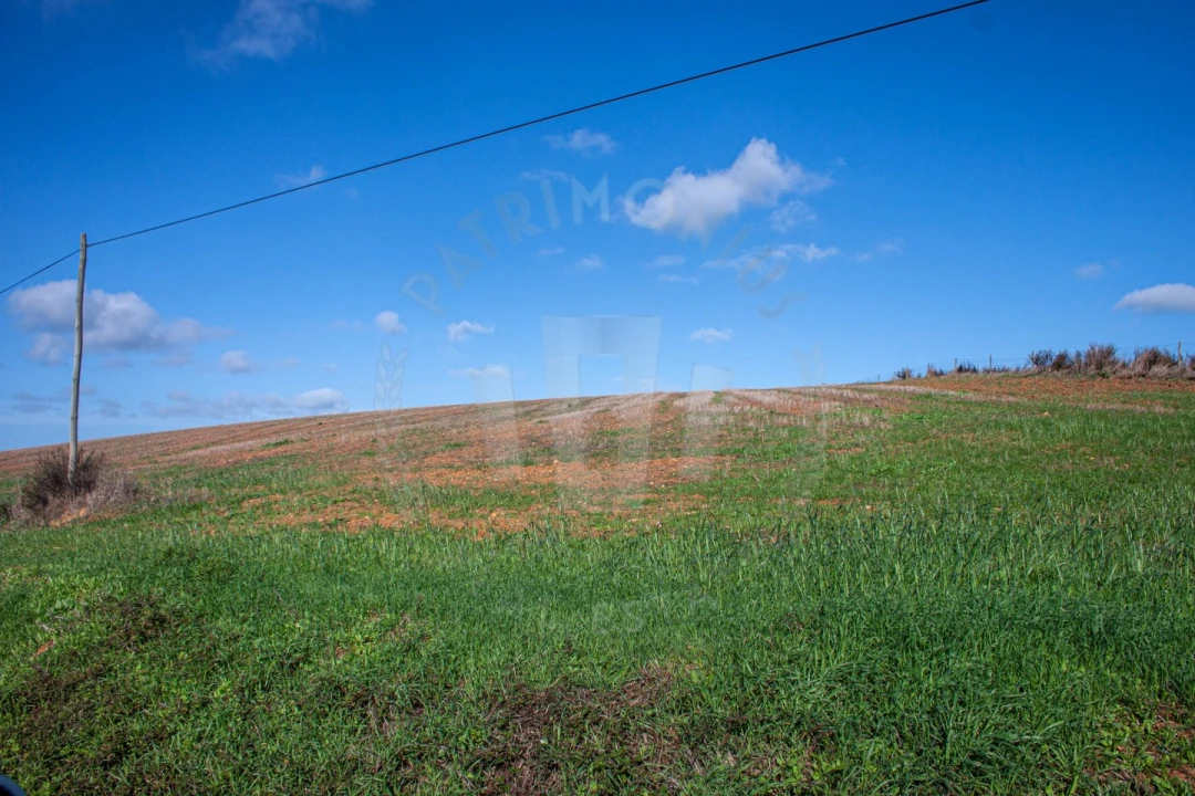 Terreno Agricola ou Rústico para Venda em Cercal Foto 11