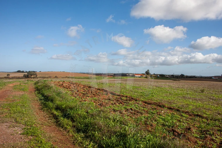 Terreno Agricola ou Rústico para Venda em Cercal Foto 2