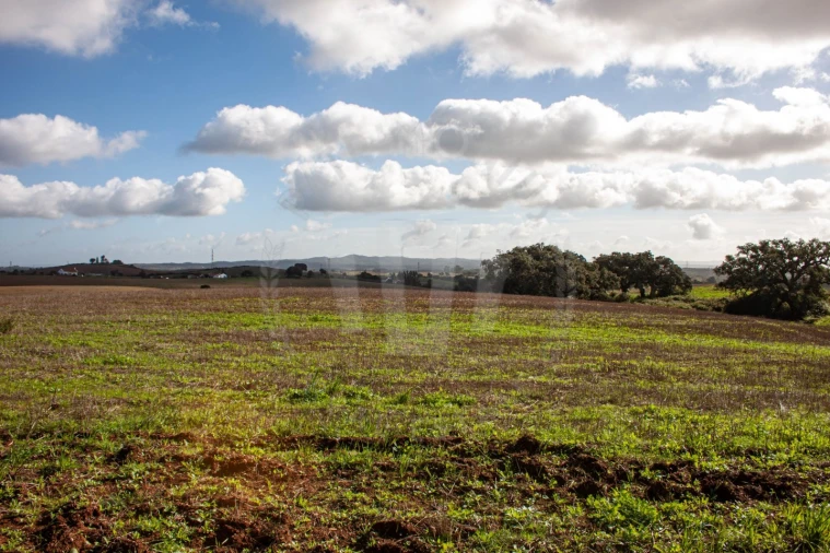 Terreno Agricola ou Rústico para Venda em Cercal Foto 7