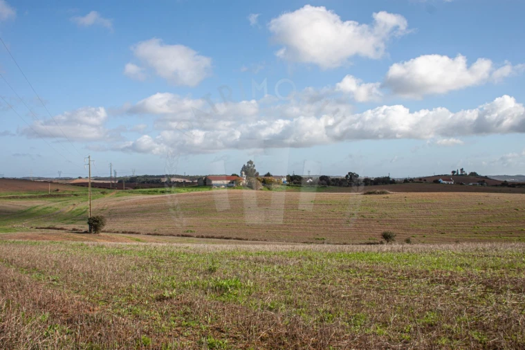Terreno Agricola ou Rústico para Venda em Cercal Foto 8