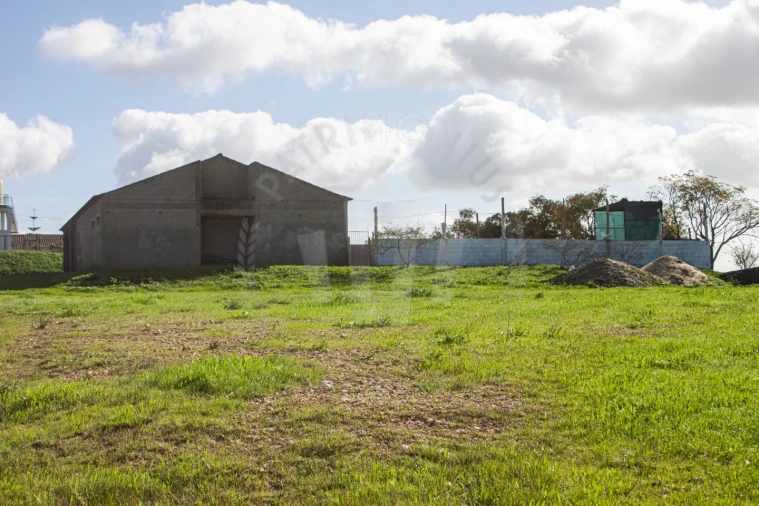 Terreno Agricola ou Rústico para Venda em Cercal Foto 12