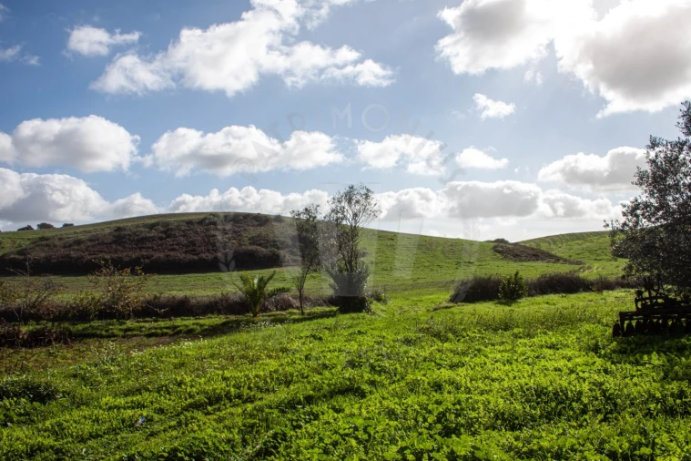 Terreno Agricola ou Rústico para Venda em Cercal Foto 14