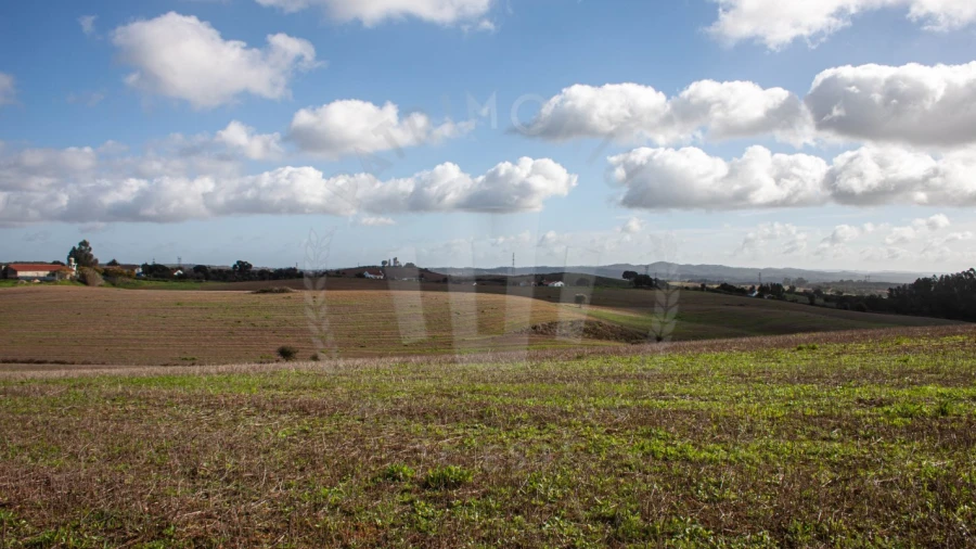 Terreno Agricola ou Rústico para Venda em Cercal