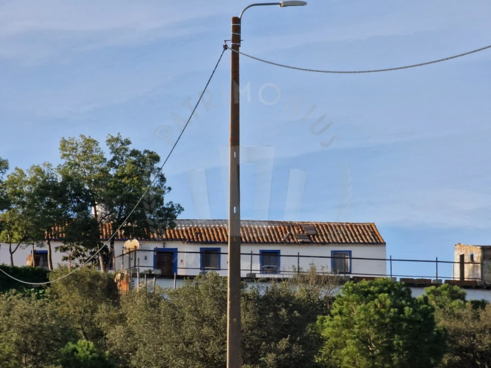 Quinta para Venda em Santa Cruz Foto 3