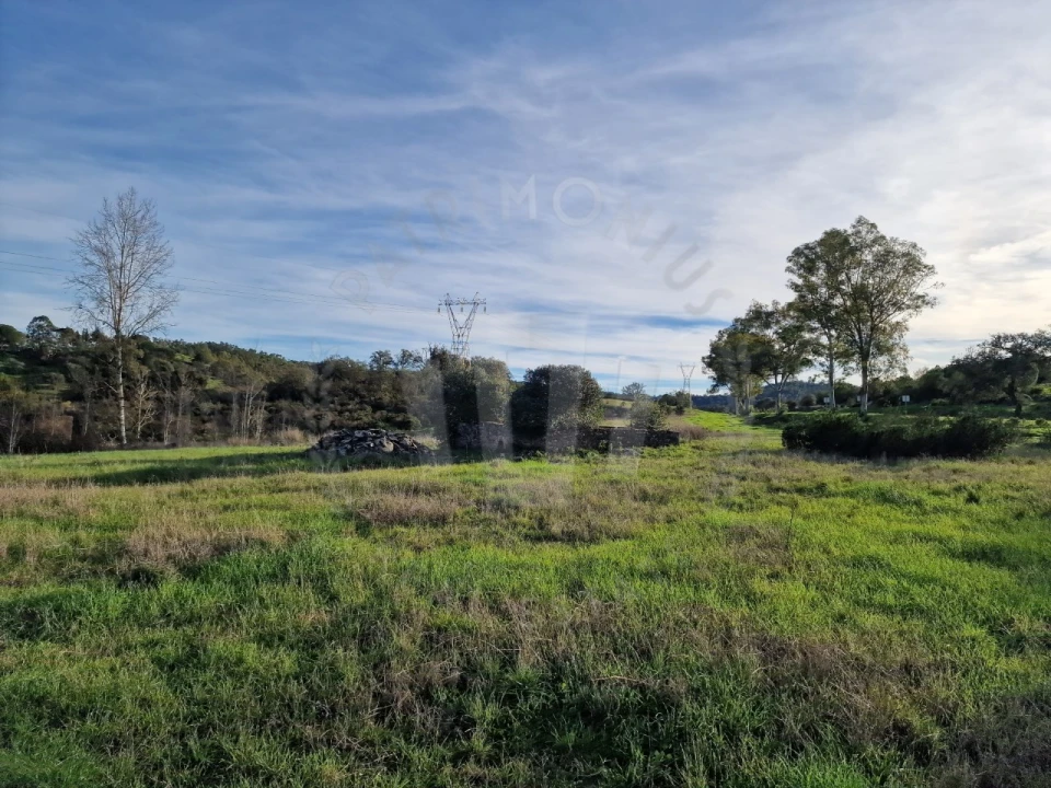 Quinta para Venda em Santa Cruz Foto 5