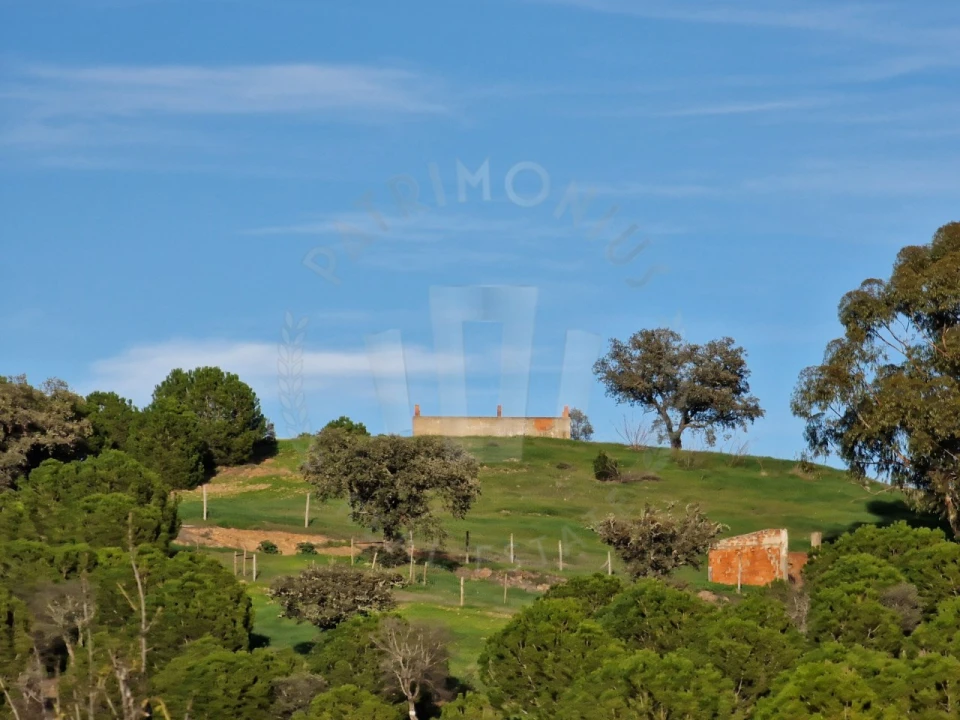 Quinta para Venda em Santa Cruz Foto 7