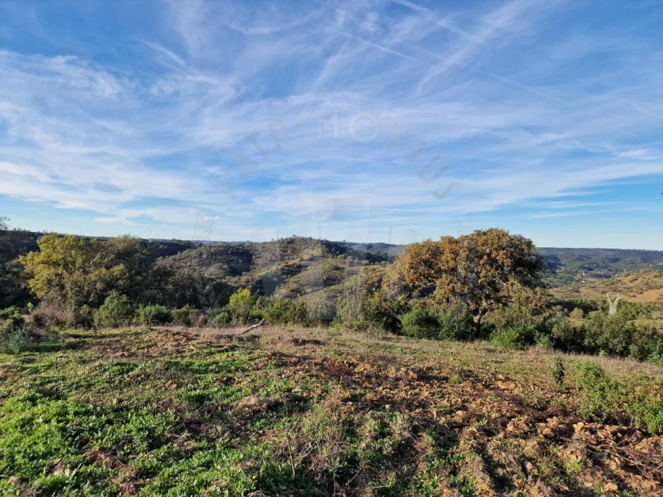 Quinta para Venda em Santa Cruz Foto 9