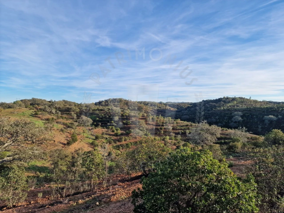 Quinta para Venda em Santa Cruz Foto 10