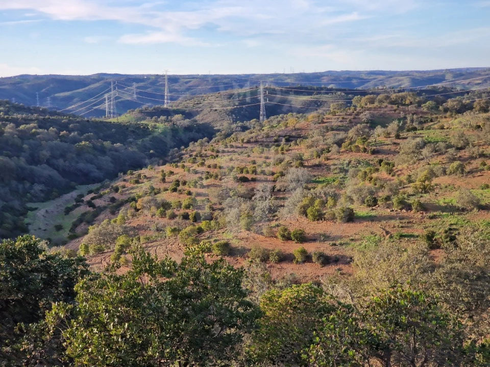 Quinta para Venda em Santa Cruz Foto 11