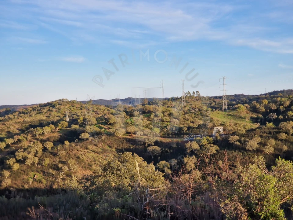 Quinta para Venda em Santa Cruz Foto 14