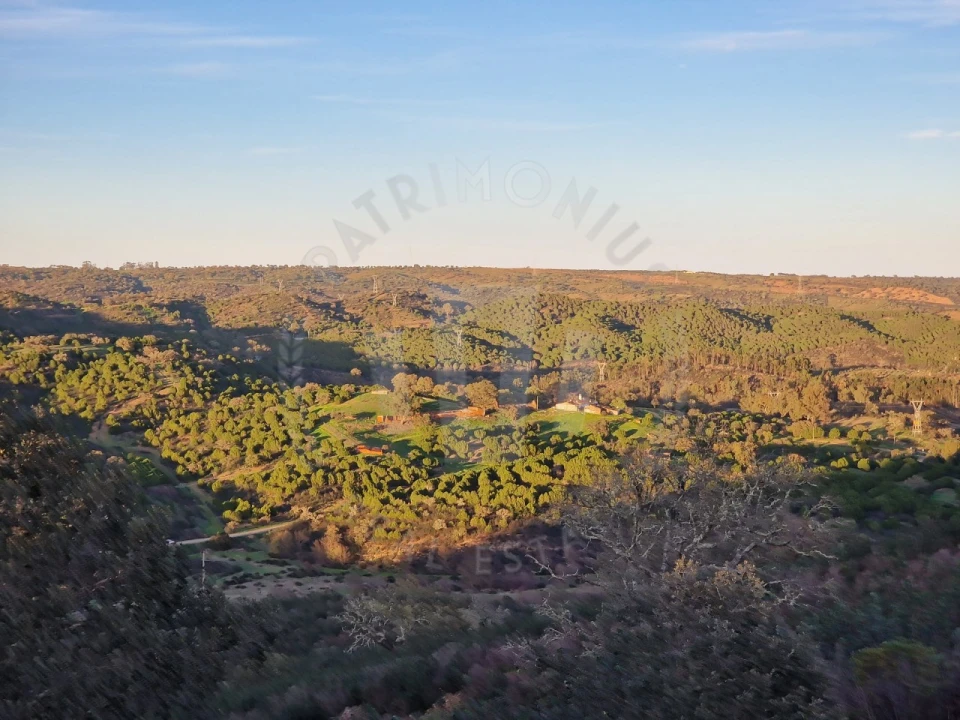 Quinta para Venda em Santa Cruz Foto 18