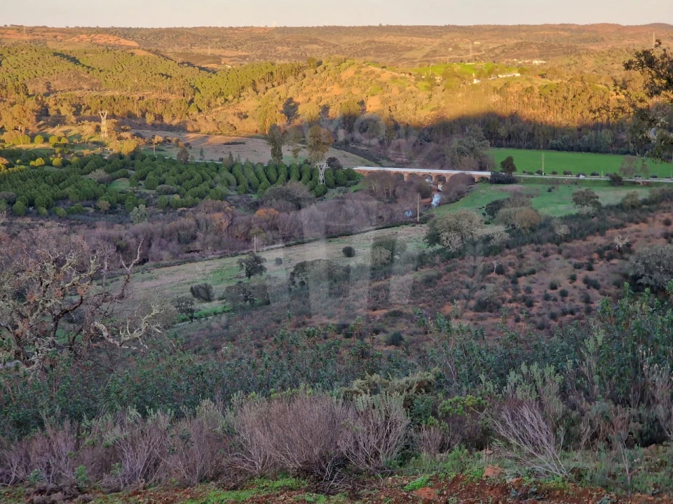 Quinta para Venda em Santa Cruz Foto 20