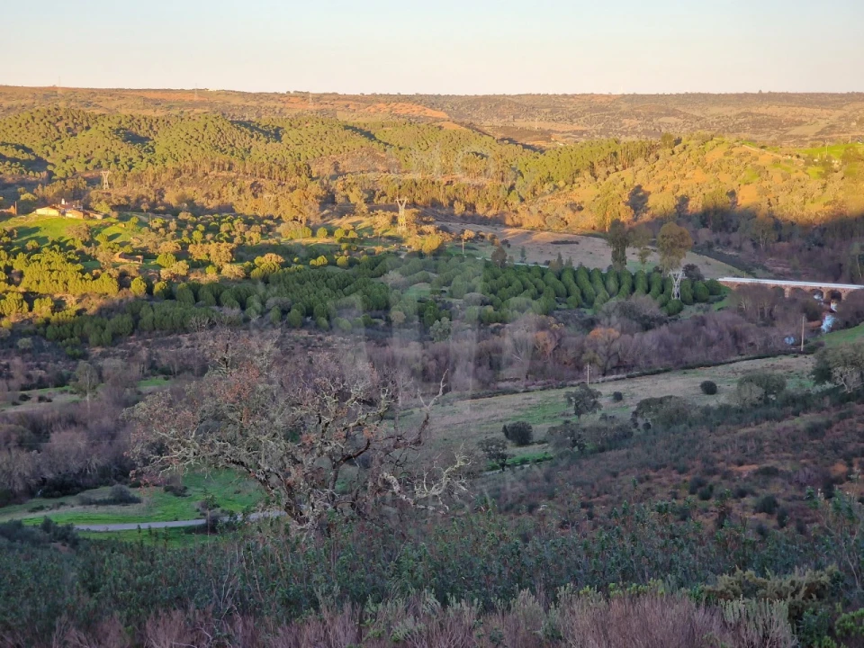 Quinta para Venda em Santa Cruz Foto 22