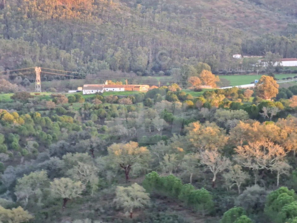 Quinta para Venda em Santa Cruz Foto 23