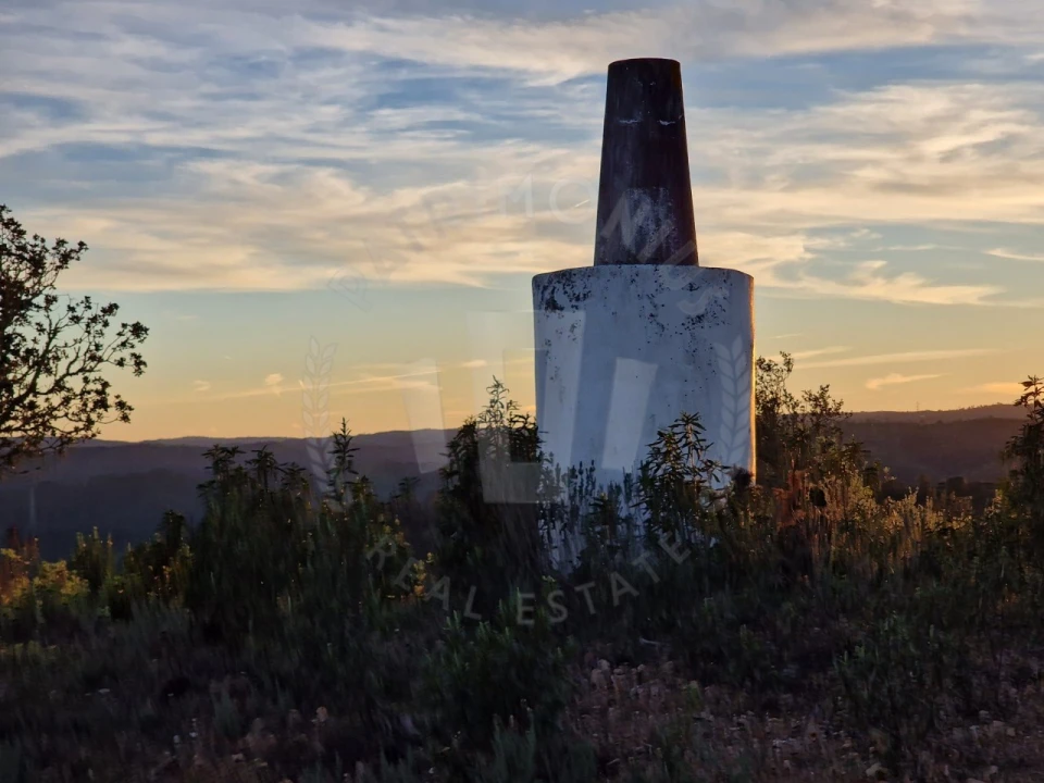 Quinta para Venda em Santa Cruz Foto 25