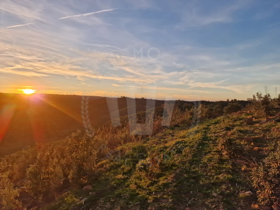 Quinta para Venda em Santa Cruz Foto 26