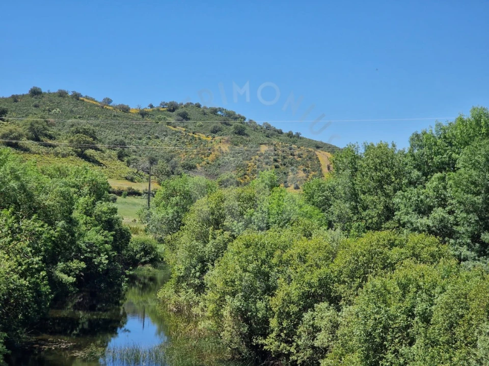 Quinta para Venda em Santa Cruz Foto 34