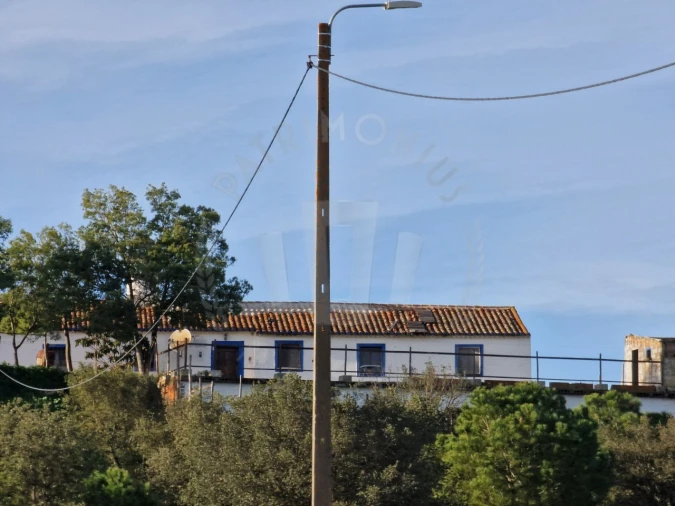 Quinta para Venda em Santa Cruz Foto 3