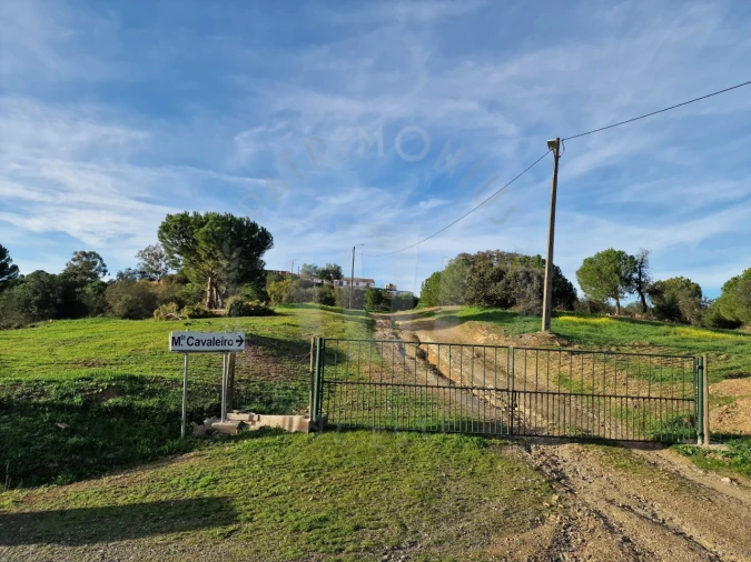 Quinta para Venda em Santa Cruz Foto 4