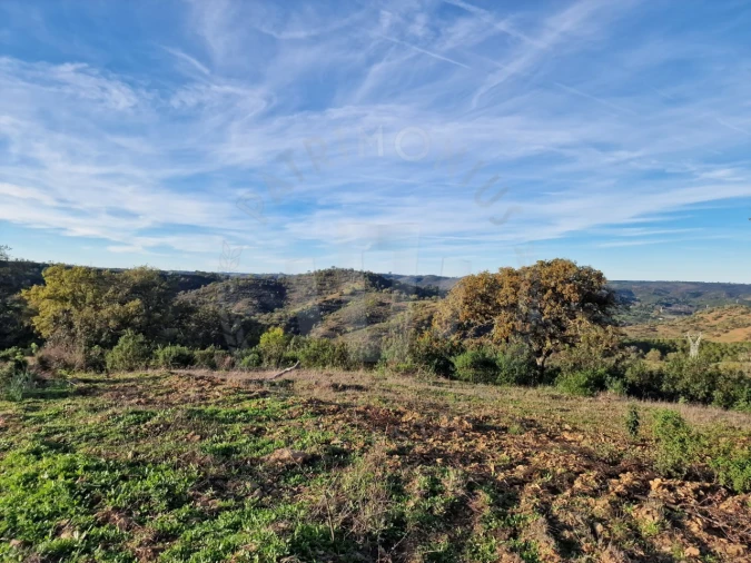 Quinta para Venda em Santa Cruz Foto 9