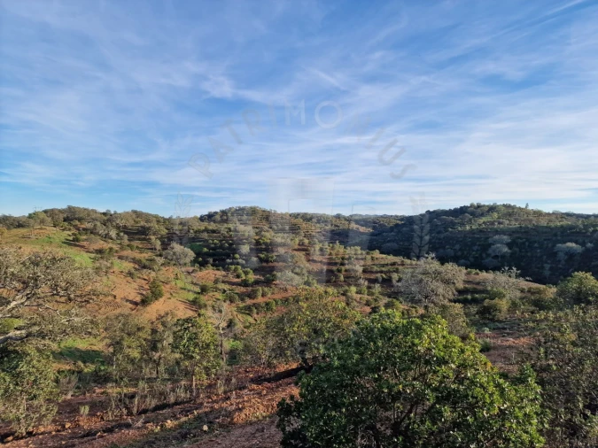 Quinta para Venda em Santa Cruz Foto 10