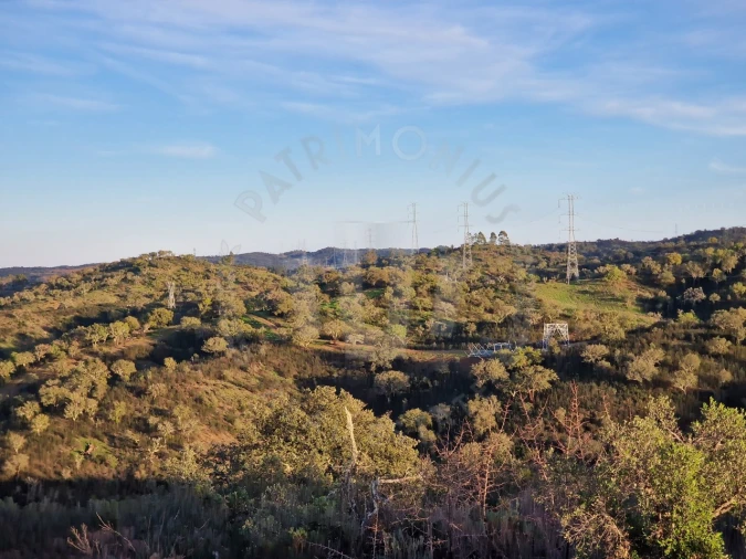 Quinta para Venda em Santa Cruz Foto 14