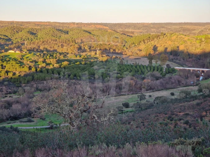 Quinta para Venda em Santa Cruz Foto 22