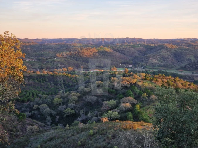 Quinta para Venda em Santa Cruz Foto 24