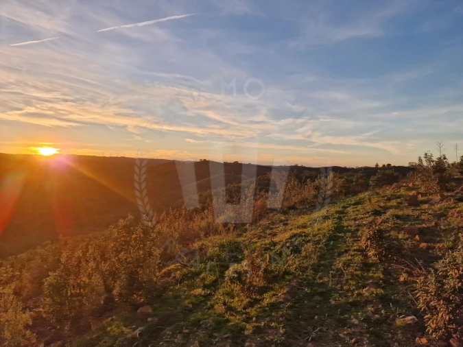 Quinta para Venda em Santa Cruz Foto 26