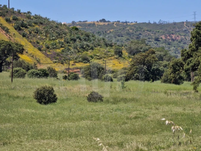 Quinta para Venda em Santa Cruz Foto 28