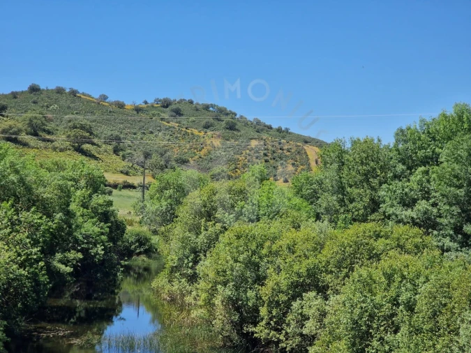 Quinta para Venda em Santa Cruz Foto 34