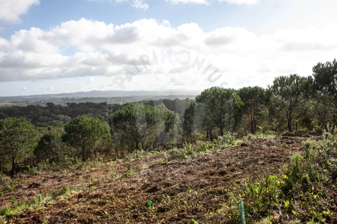 Quinta para Venda em São Luis Foto 2
