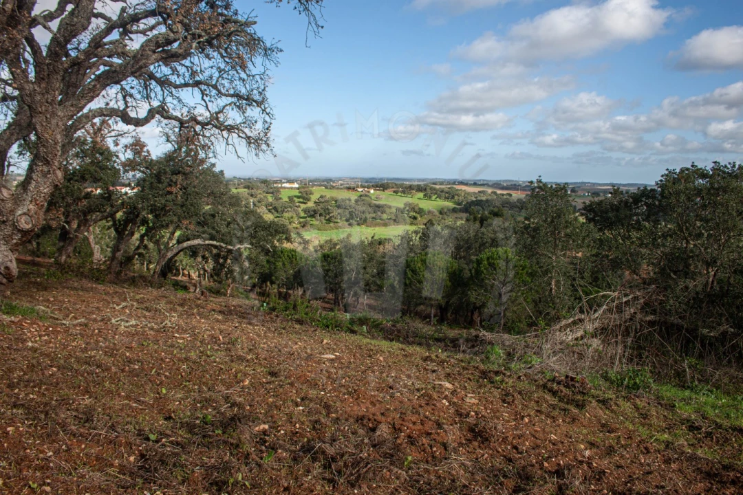 Quinta para Venda em São Luis Foto 5