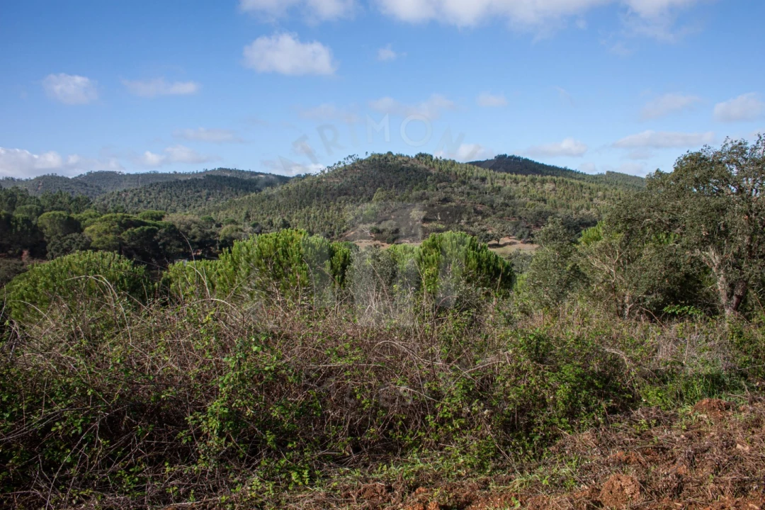Quinta para Venda em São Luis Foto 9