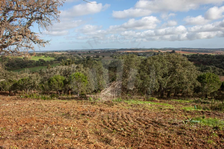 Quinta para Venda em São Luis Foto 3