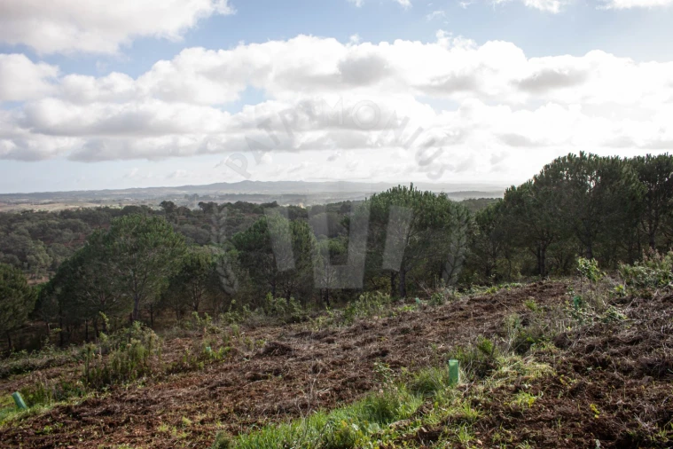 Quinta para Venda em São Luis Foto 7