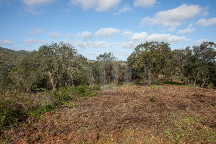 Quinta para Venda em São Luis Foto 8