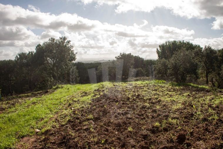 Quinta para Venda em São Luis Foto 10