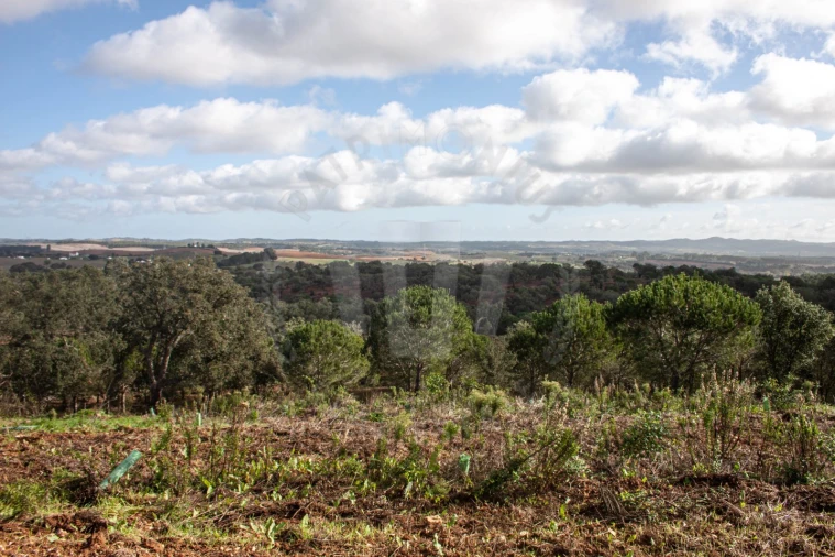 Quinta para Venda em São Luis Foto 11