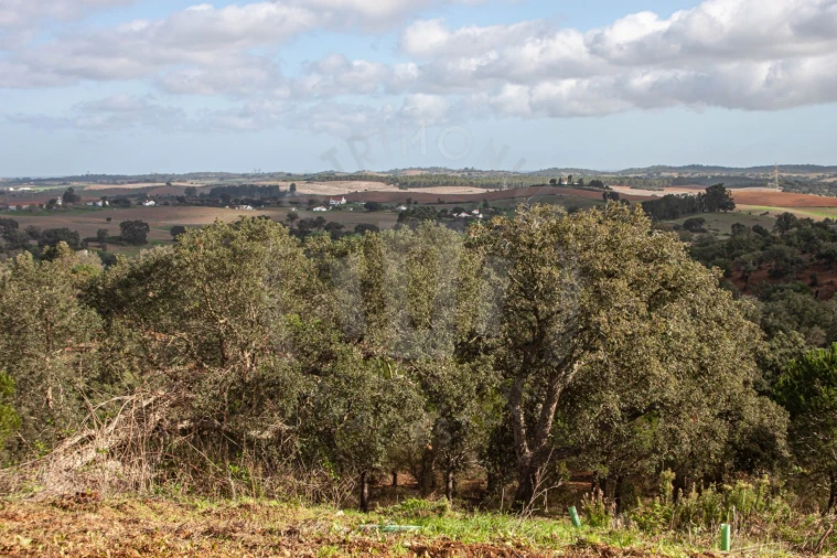 Quinta para Venda em São Luis Foto 12
