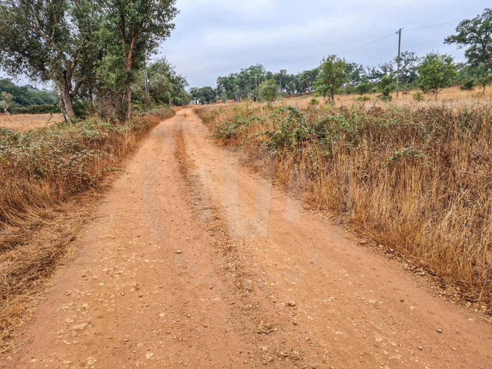 Quinta para Venda em Cercal Foto 16