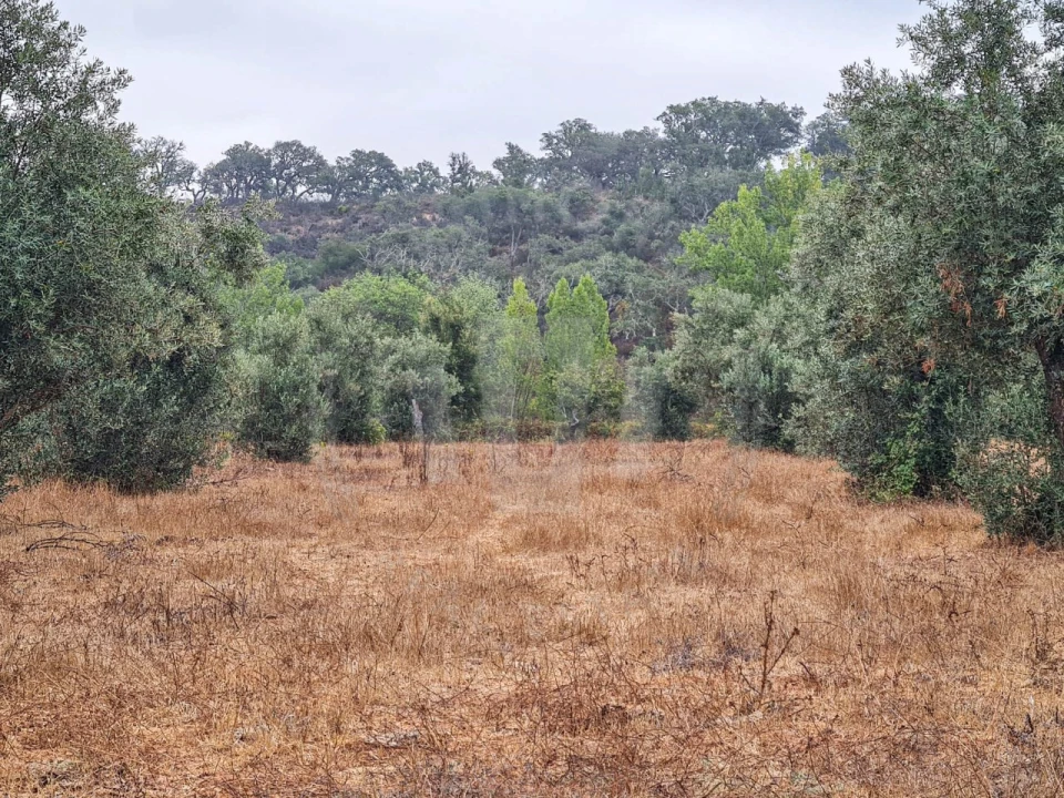 Quinta para Venda em Cercal Foto 17