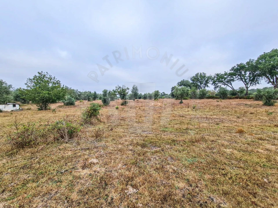 Quinta para Venda em Cercal Foto 19