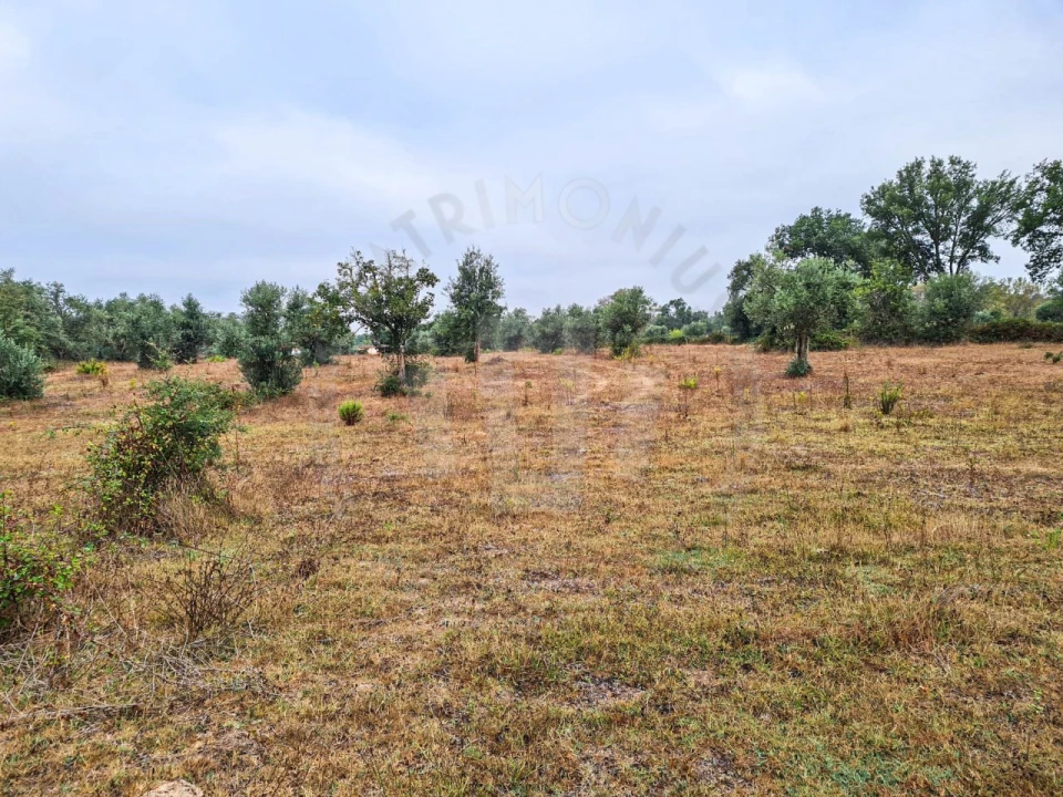 Quinta para Venda em Cercal Foto 20