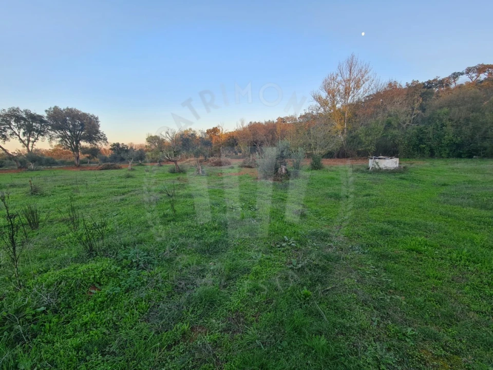 Quinta para Venda em Cercal Foto 24