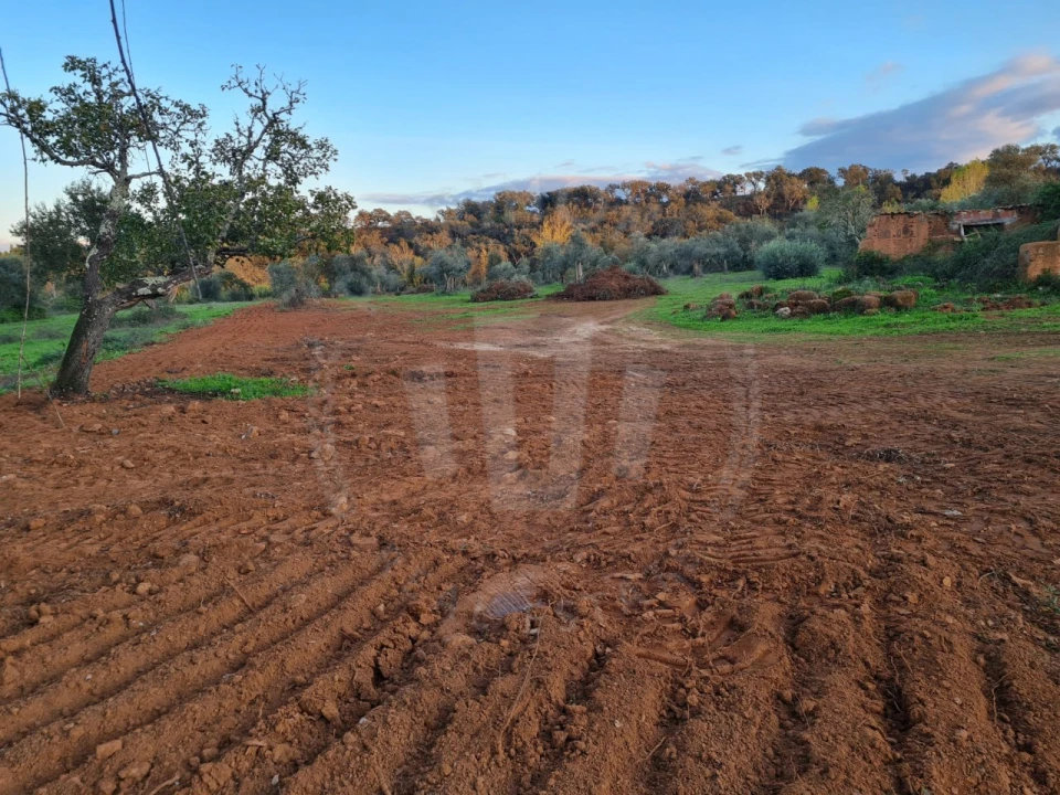 Quinta para Venda em Cercal Foto 27