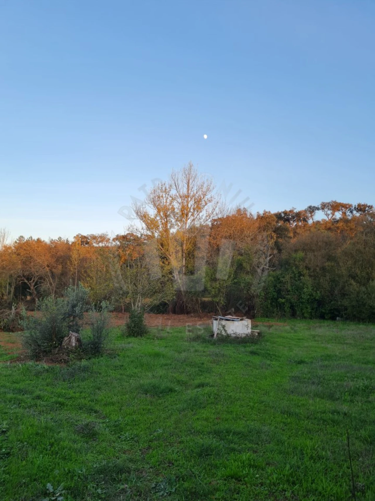 Quinta para Venda em Cercal Foto 28