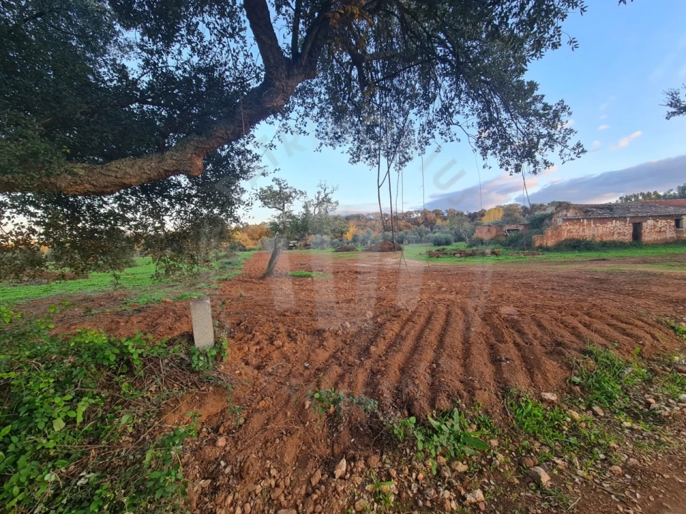 Quinta para Venda em Cercal Foto 29
