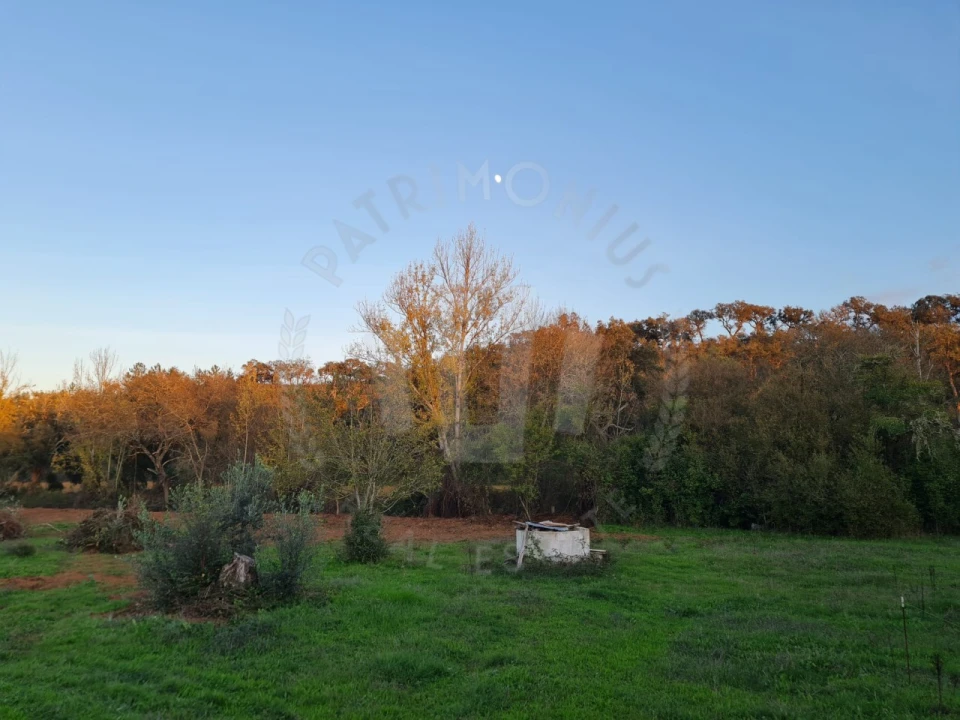 Quinta para Venda em Cercal Foto 31